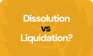 What is the difference between dissolution and liquidation?