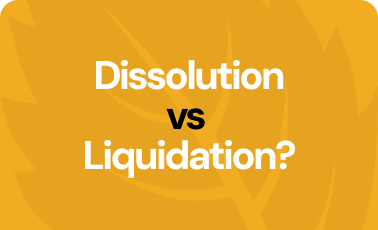 What is the difference between dissolution and liquidation?