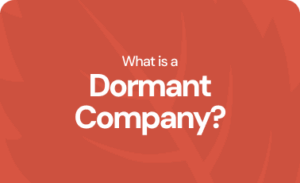What is a dormant company?