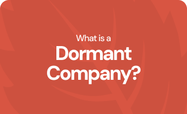 What is a dormant company?