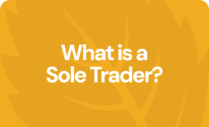 What is a sole trader