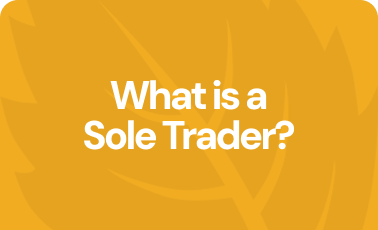What is a sole trader