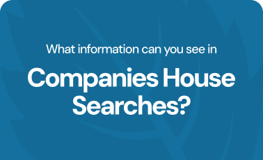 What information can you see in Companies House searches?