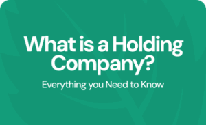 What is a holding company? Everything you need to know