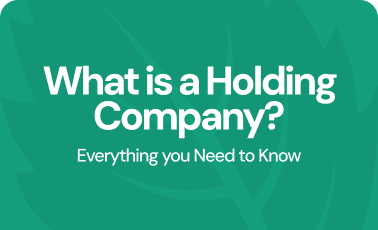 What is a holding company? Everything you need to know