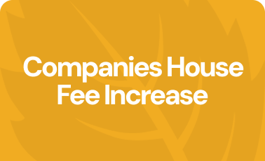Companies House fee increase